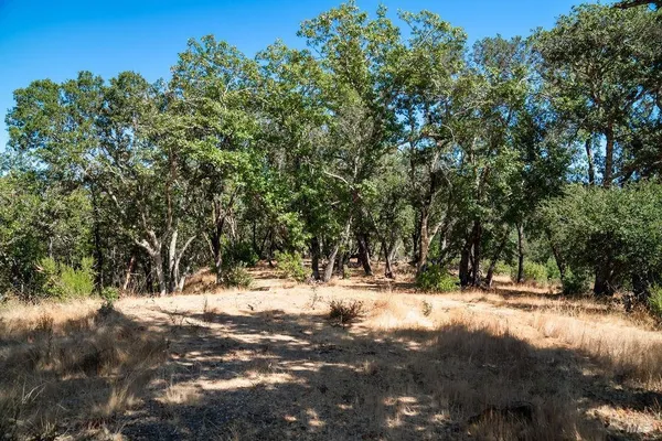 $800,000 | 0 Mount Veeder Rd Street, Napa, CA 94558