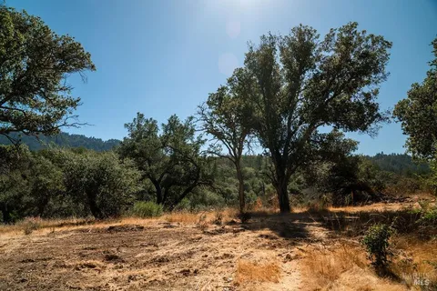 a view of outdoor space with trees
