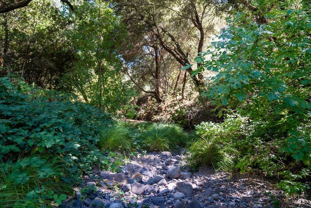 0 Mount Veeder Rd Street Napa, CA 94558 - Photo 18 of 26 a backyard of a house with lots of trees