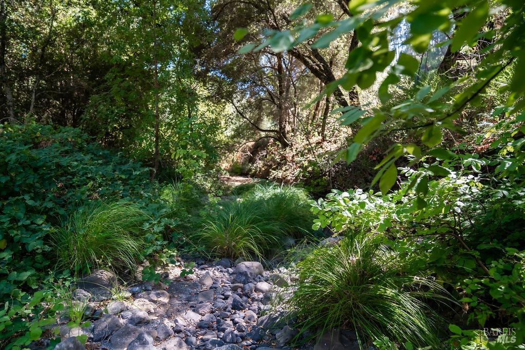 0 Mount Veeder Rd Street Napa, CA 94558 - Photo 20 of 26 a backyard of a house with lots of trees