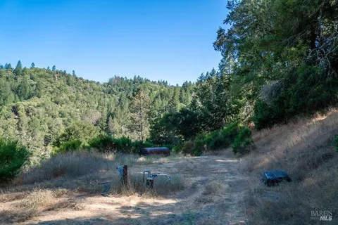 a view of a mountain in the distance in a field