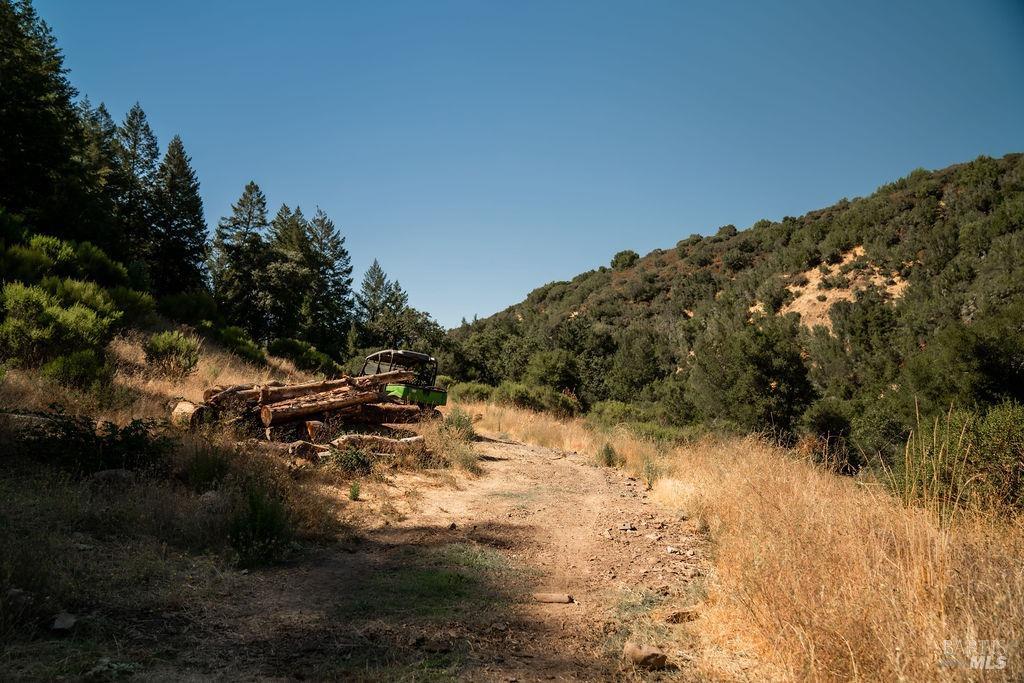 0 Mount Veeder Rd Street Napa, CA 94558 - Photo 22 of 26 a view of a yard with a tree