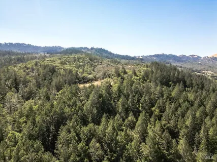 a view of a mountain range with a lush green forest