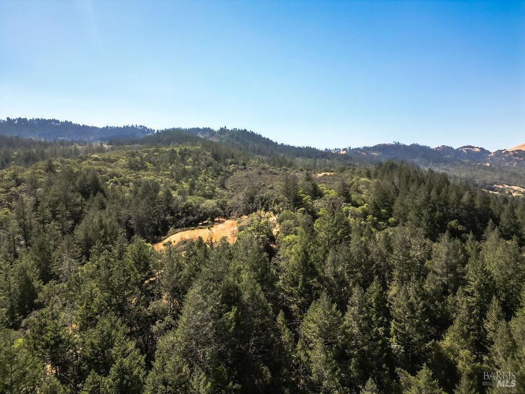 0 Mount Veeder Rd Street Napa, CA 94558 - Photo 24 of 26 a view of a mountain range with lush green forest