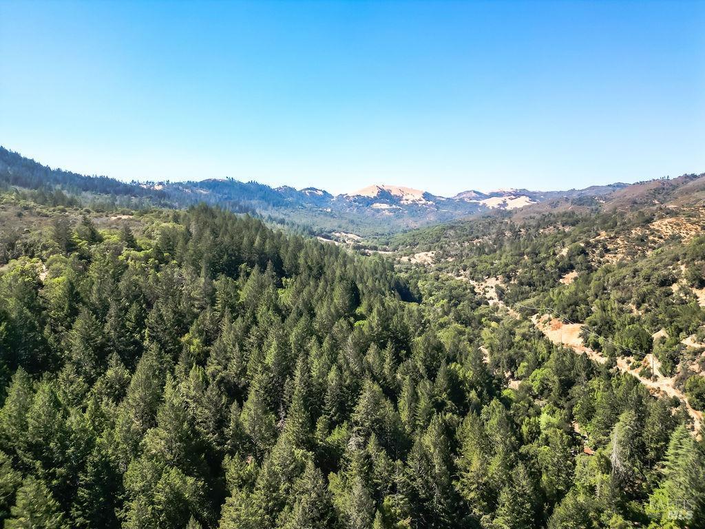 0 Mount Veeder Rd Street Napa, CA 94558 - Photo 25 of 26 a view of a mountain range with a lush green forest
