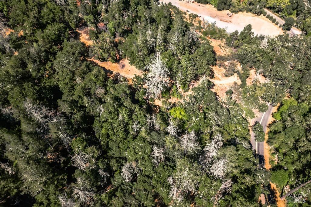 0 Mount Veeder Rd Street Napa, CA 94558 - Photo 7 of 26 a view of a tree