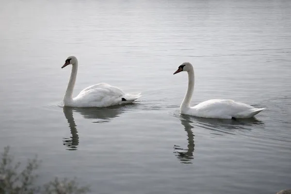 a bathroom with a sink