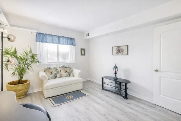 a living room with furniture and a potted plant