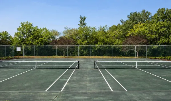 a view of swimming pool with large trees