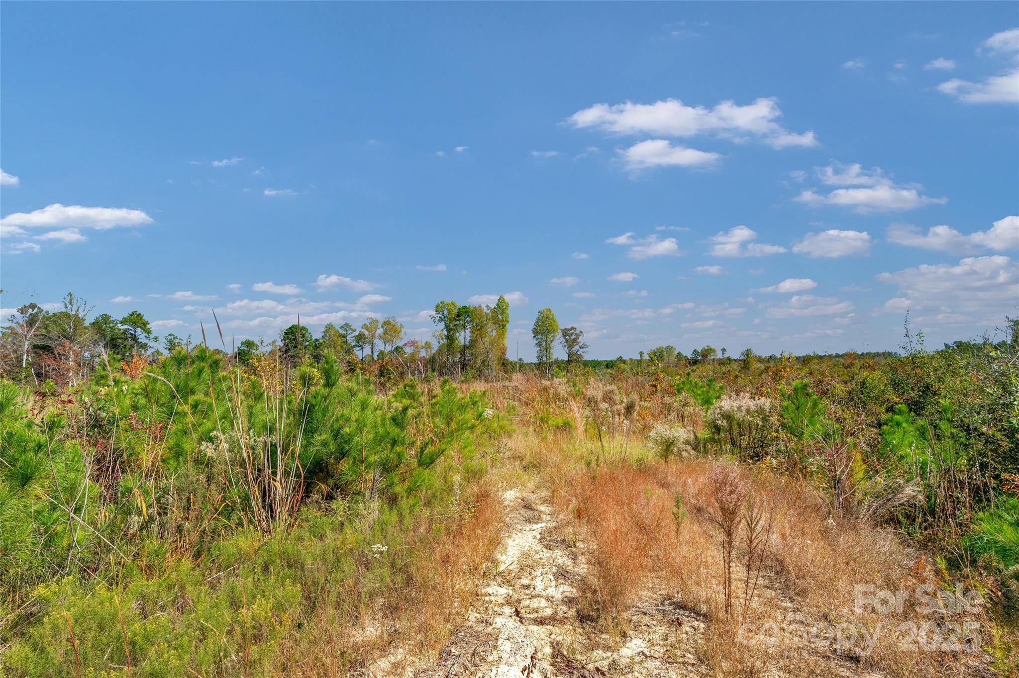 0 Riley Road, Unit 2 Chesterfield, SC 29709 - Photo 11 of 23