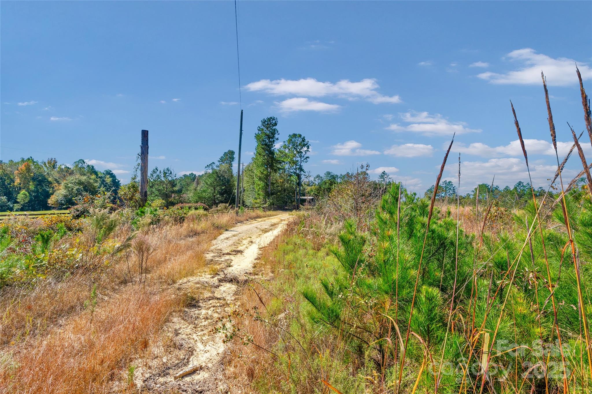 0 Riley Road, Unit 2 Chesterfield, SC 29709 - Photo 12 of 23 a view of a garden with a building in the background
