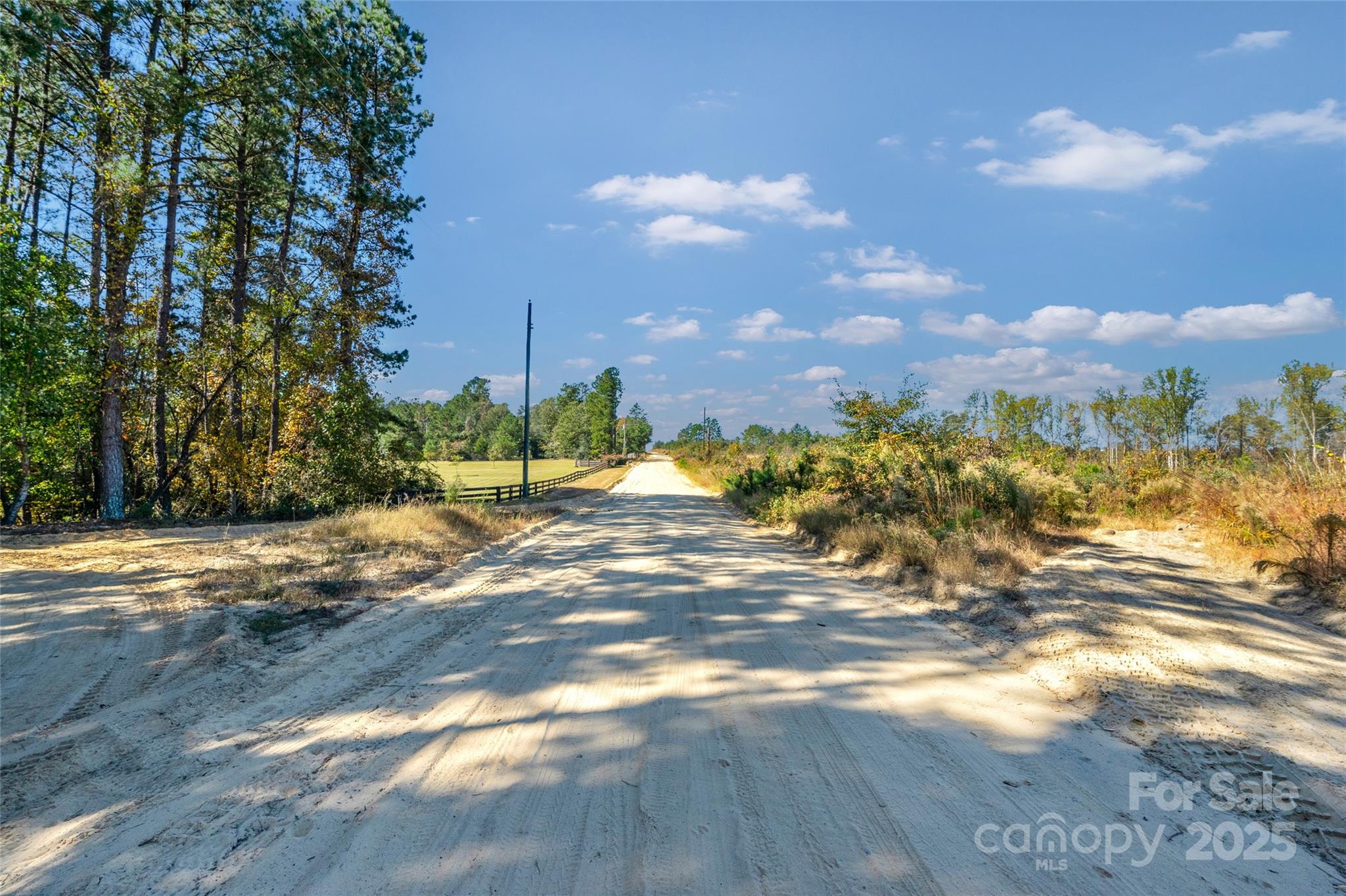 0 Riley Road, Unit 2 Chesterfield, SC 29709 - Photo 15 of 23 a view of a yard with yellow lighting