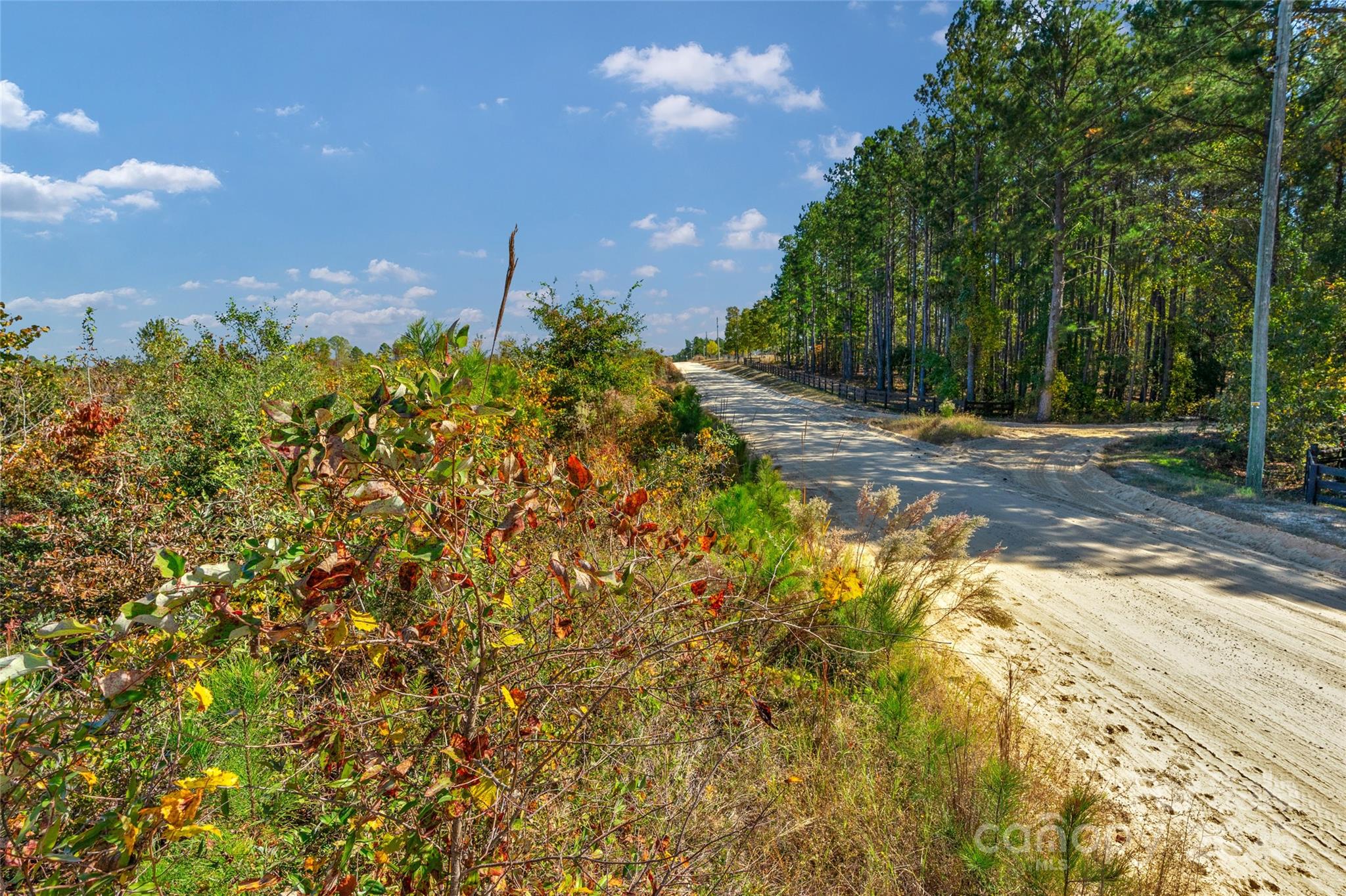 0 Riley Road, Unit 2 Chesterfield, SC 29709 - Photo 8 of 23 a backyard of a house with lots of green space