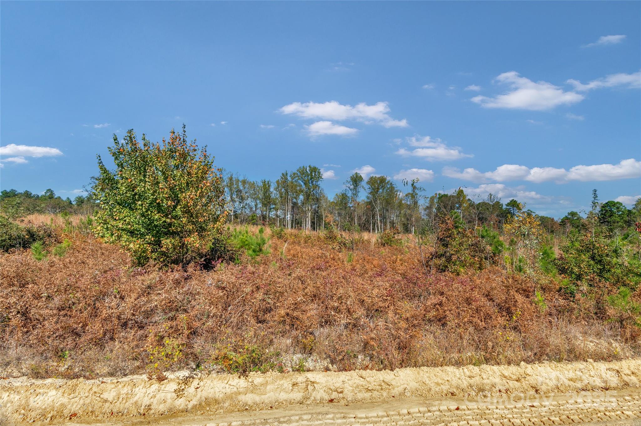 0 Riley Road, Unit 2 Chesterfield, SC 29709 - Photo 10 of 23 a view of a city