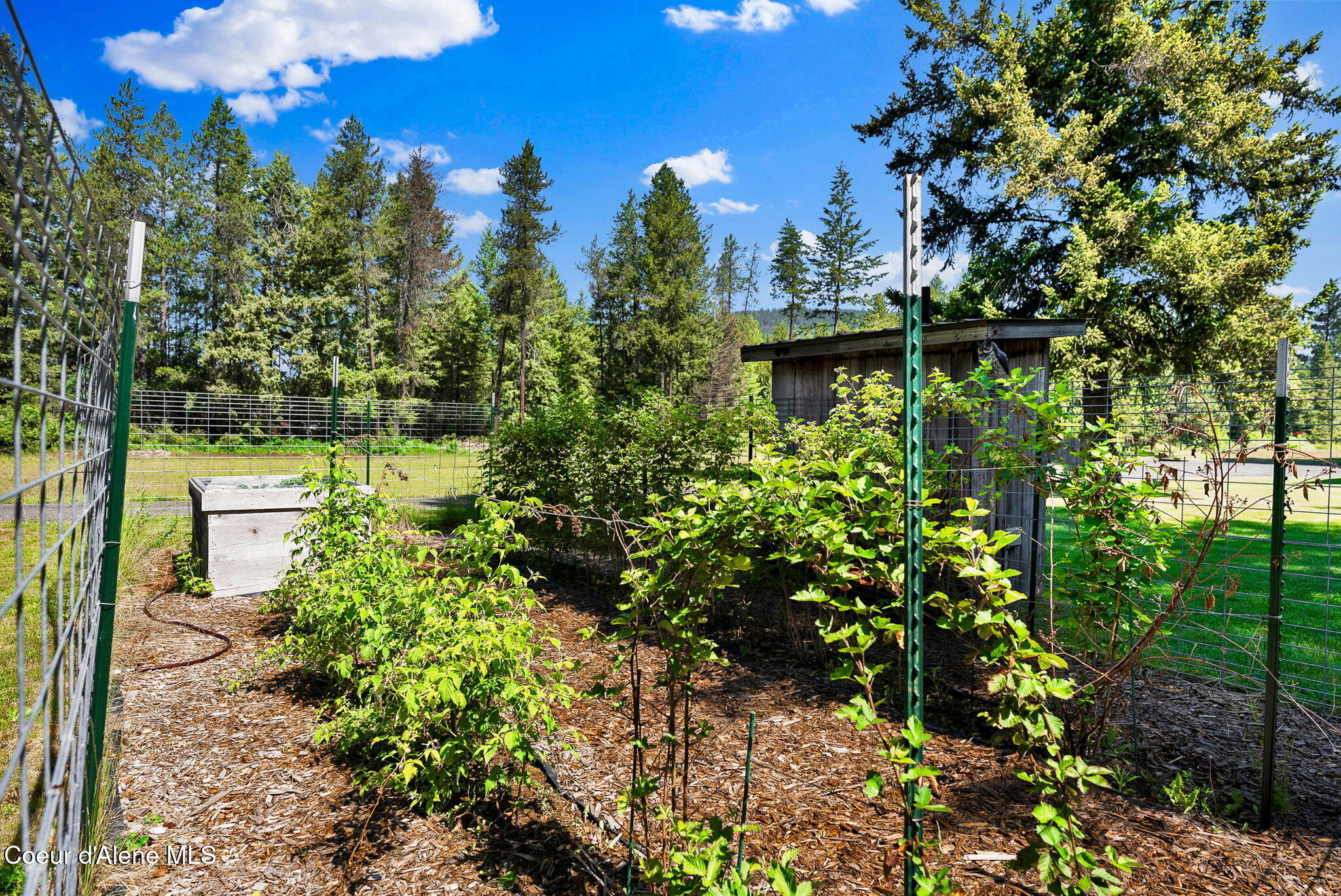 551 Star Road Moyie Springs, ID 83845 - Photo 67 of 85 62-web-or-mls-SkyLight - Star (JG)-59