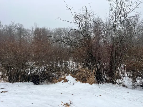 $110,000 | 18-ac Chicago, Coloma, WI 54930