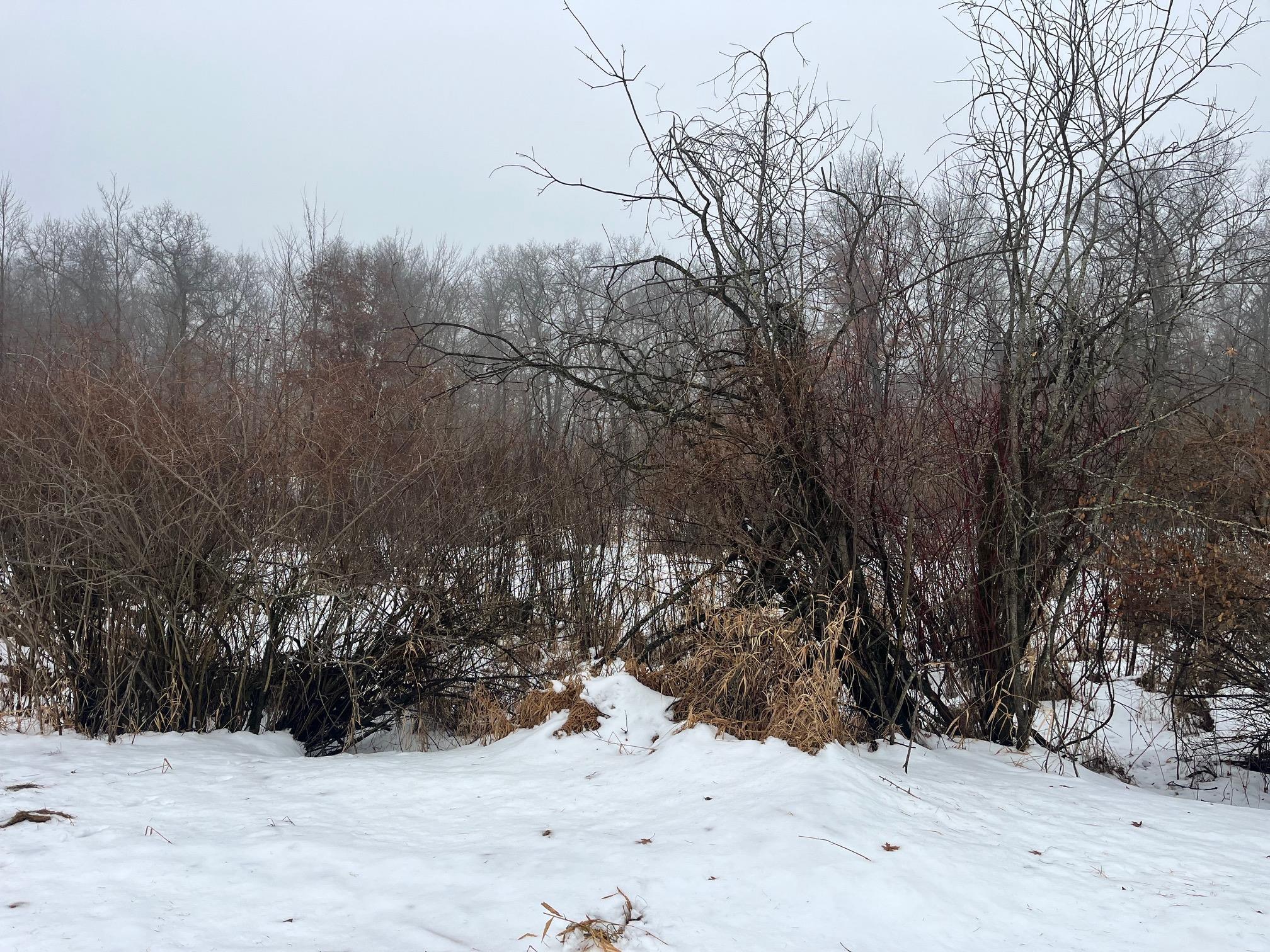 18-ac Chicago Coloma, WI 54930 - Photo 1 of 6