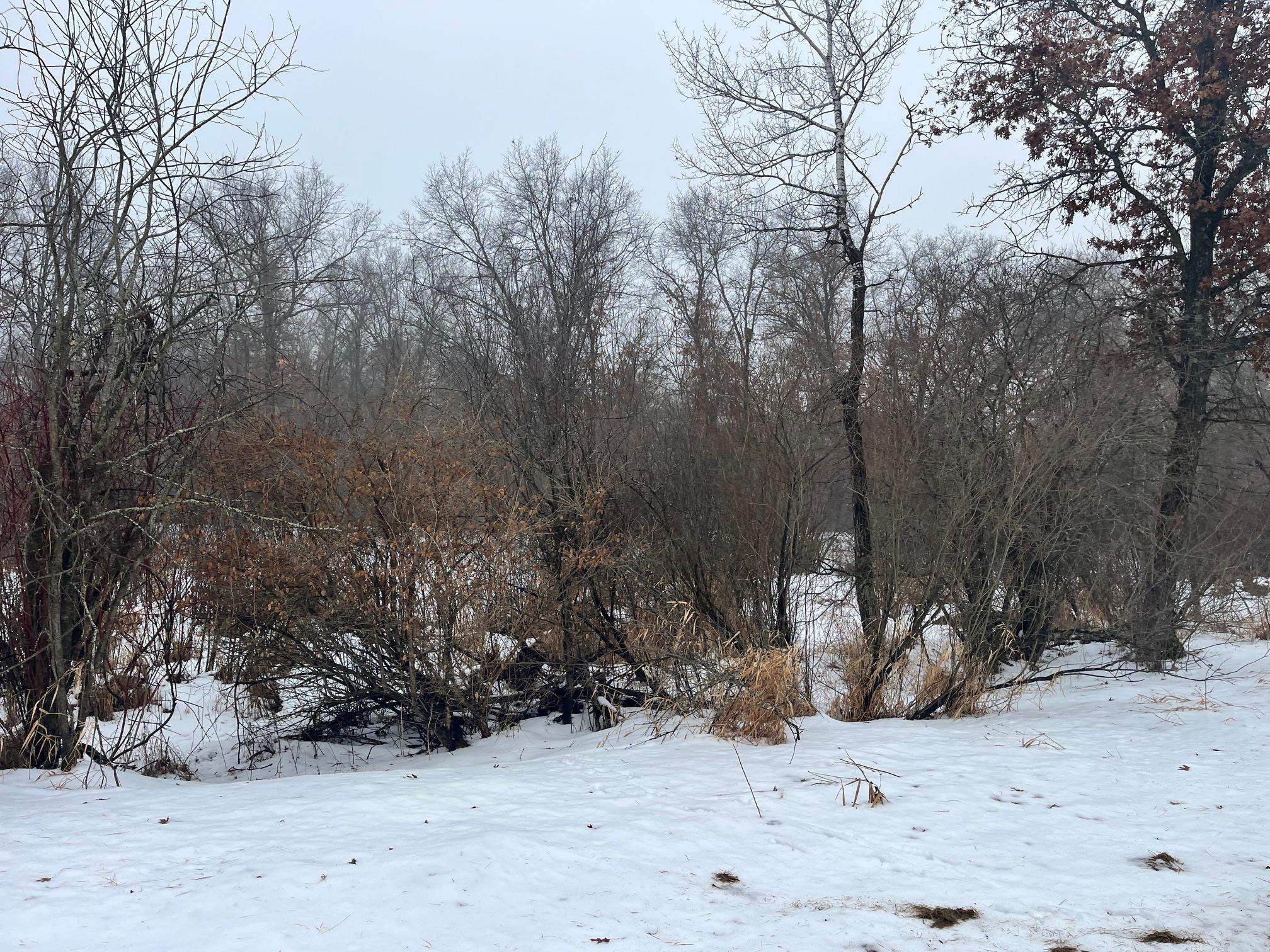 18-ac Chicago Coloma, WI 54930 - Photo 2 of 6