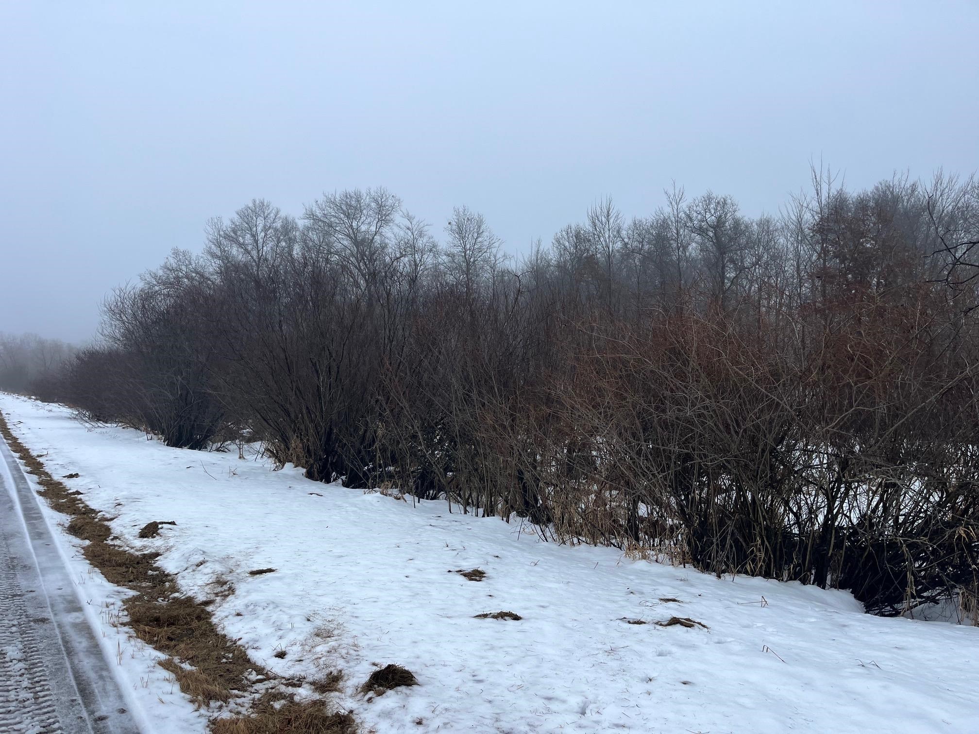 18-ac Chicago Coloma, WI 54930 - Photo 3 of 6