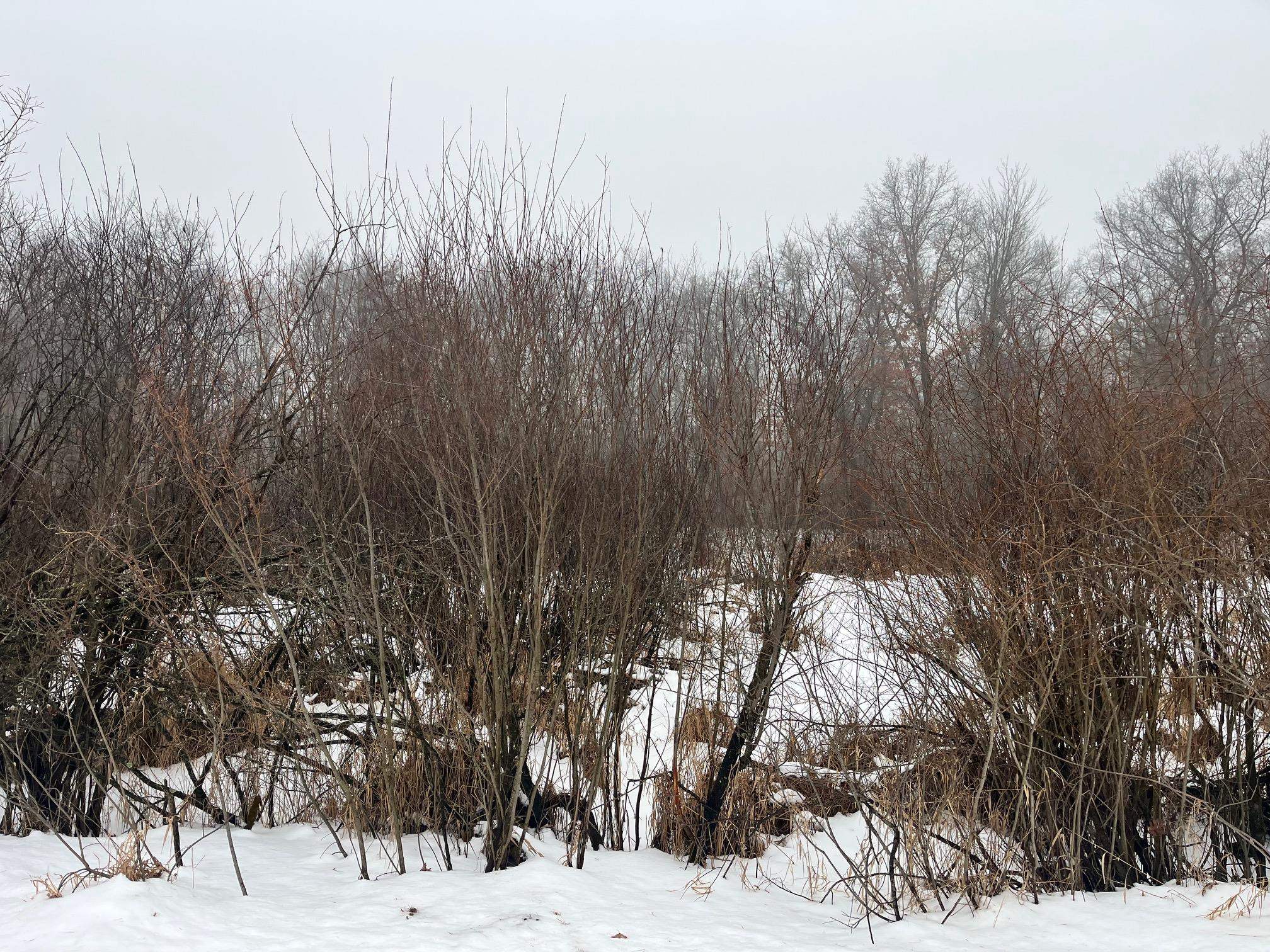 18-ac Chicago Coloma, WI 54930 - Photo 4 of 6