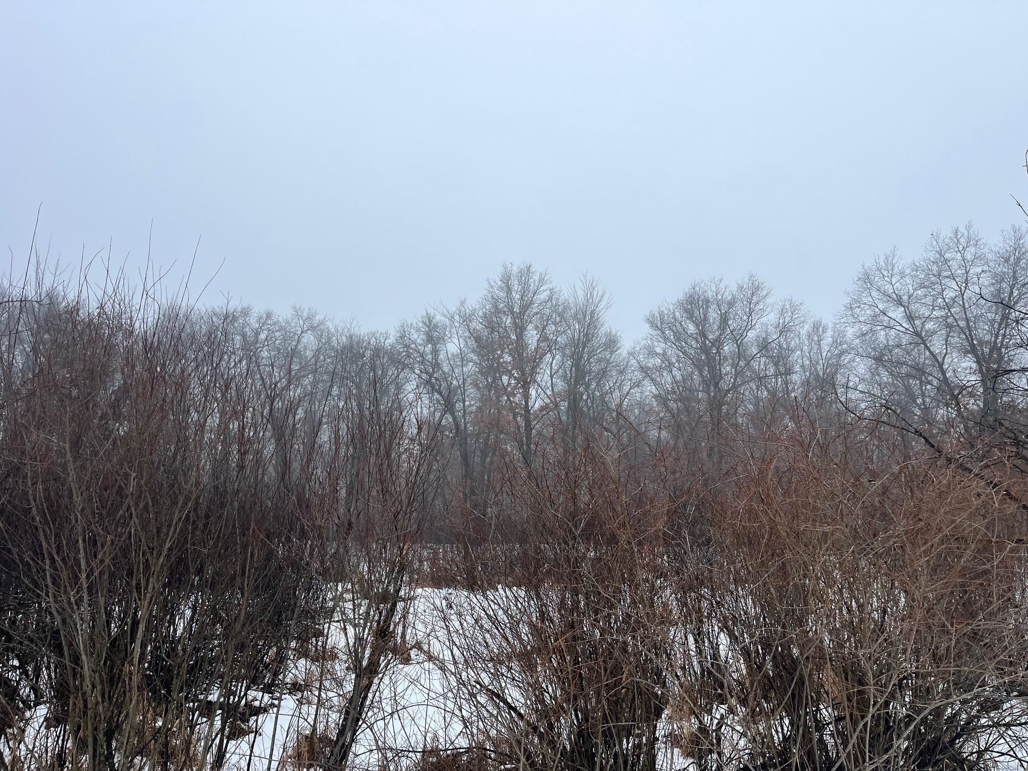 18-ac Chicago Coloma, WI 54930 - Photo 5 of 6