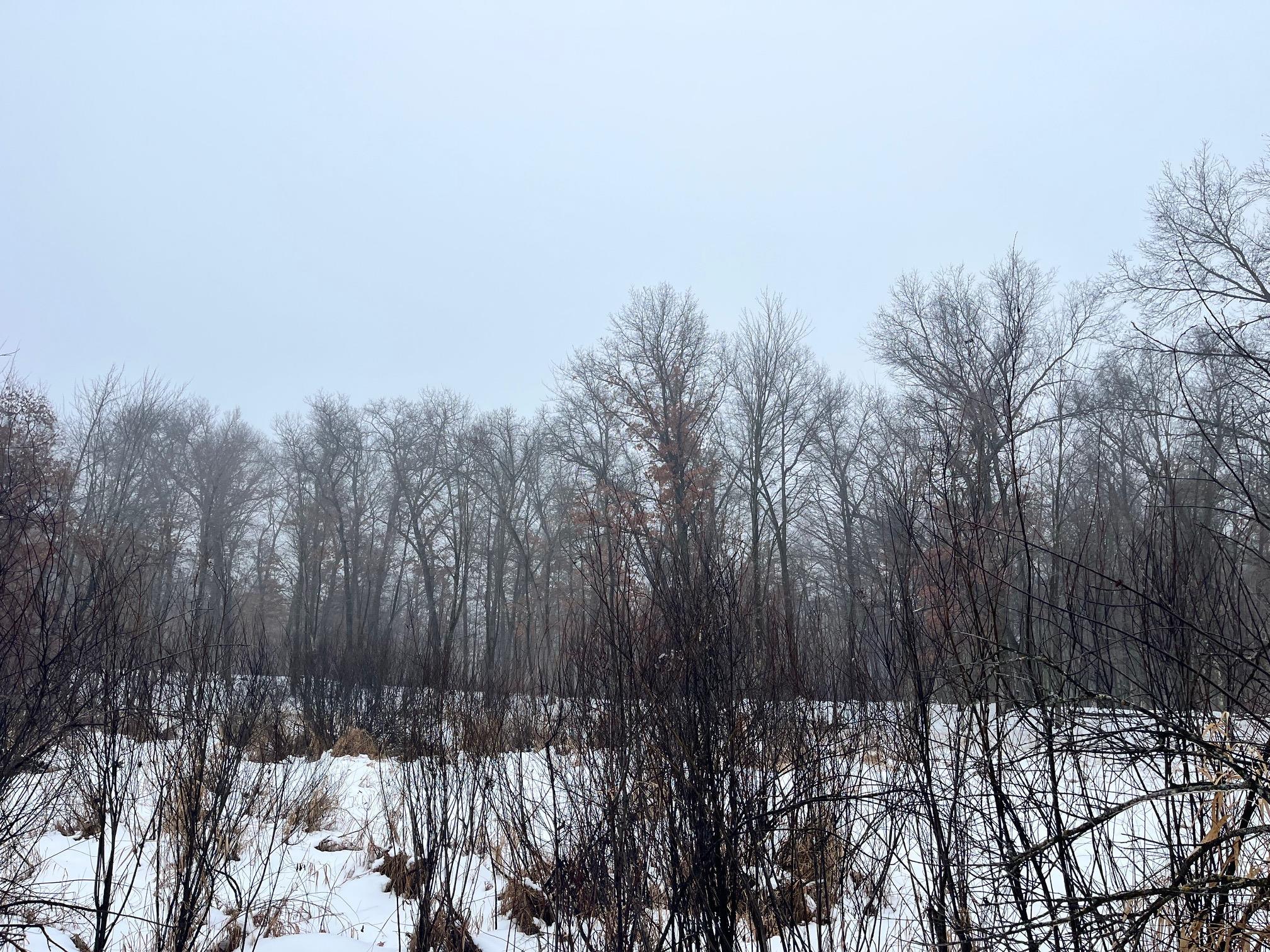 18-ac Chicago Coloma, WI 54930 - Photo 6 of 6