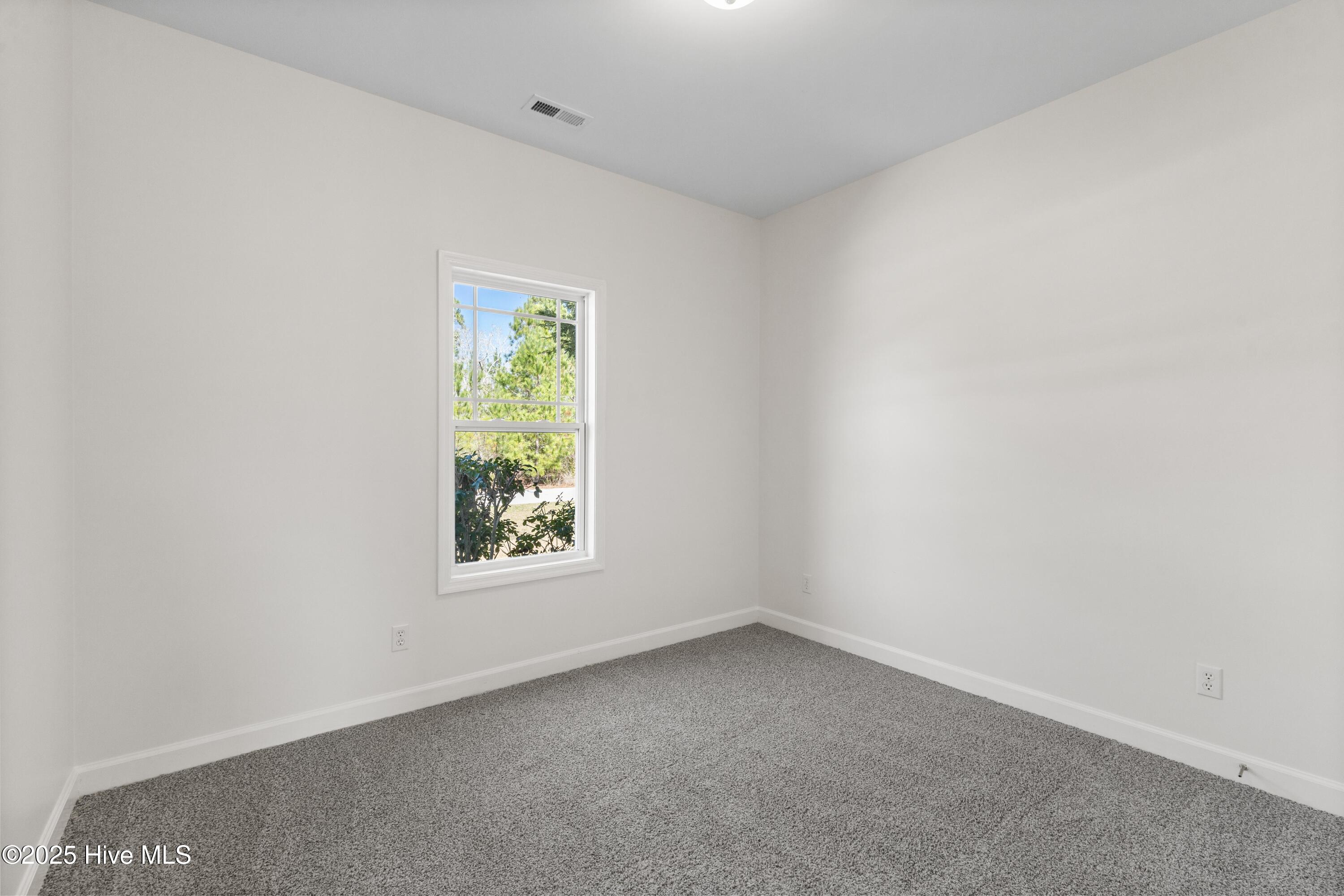 115 Blueberry Fields Road Maple Hill, NC 28454 - Photo 20 of 25 Secondary Bedroom