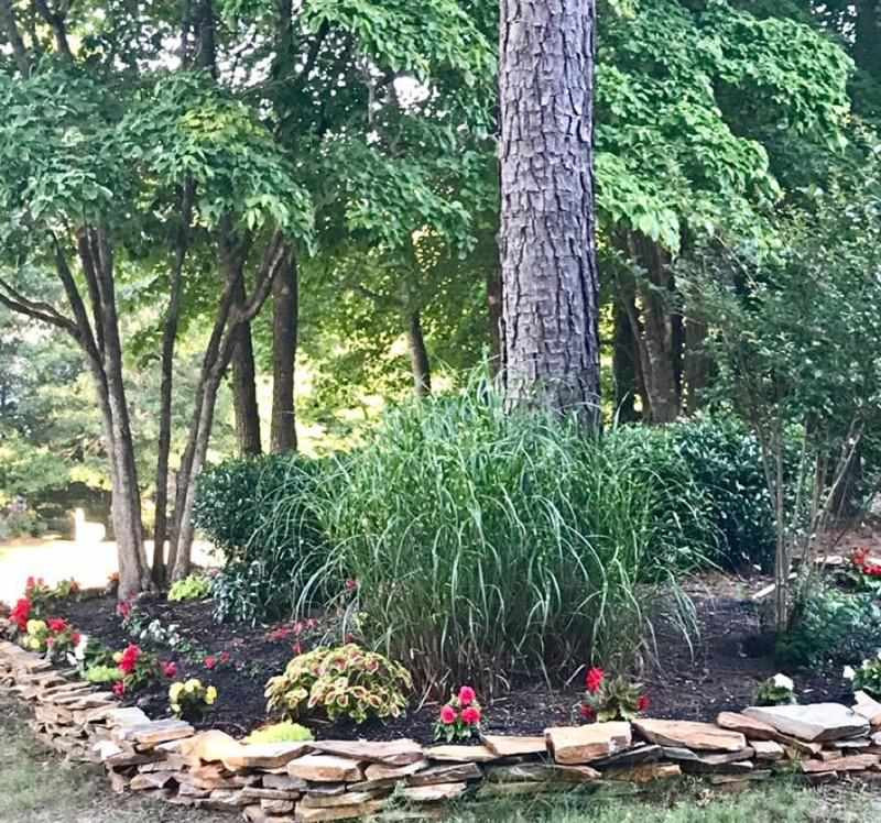 2613 Lizei Street Raleigh, NC 27616 - Photo 5 of 25 Beautiful Plantings