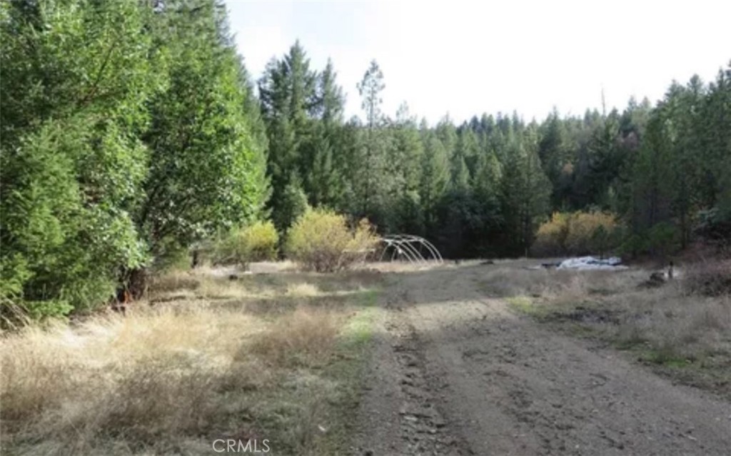 34500 Etsel Ridge Road Covelo, CA 95428 - Photo 2 of 4 a view of a forest with trees in the background
