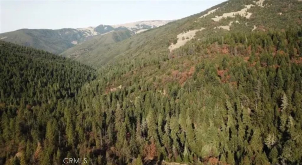34500 Etsel Ridge Road Covelo, CA 95428 - Photo 3 of 4 a view of a lush green forest with a mountain