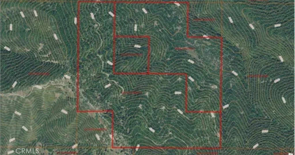 34500 Etsel Ridge Road Covelo, CA 95428 - Photo 4 of 4 a close up of a tree