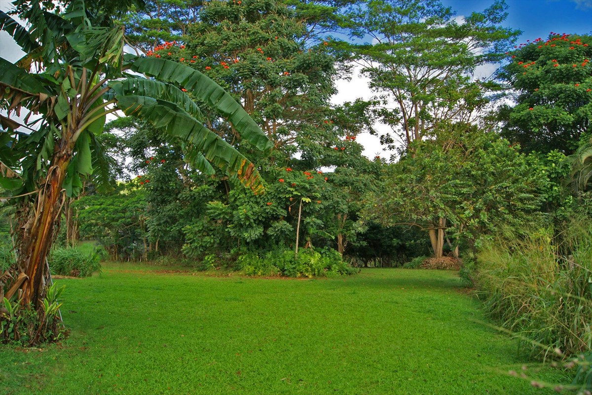6510 Kahuna Road, Unit 2 Kapaa, HI 96746 - Photo 20 of 25