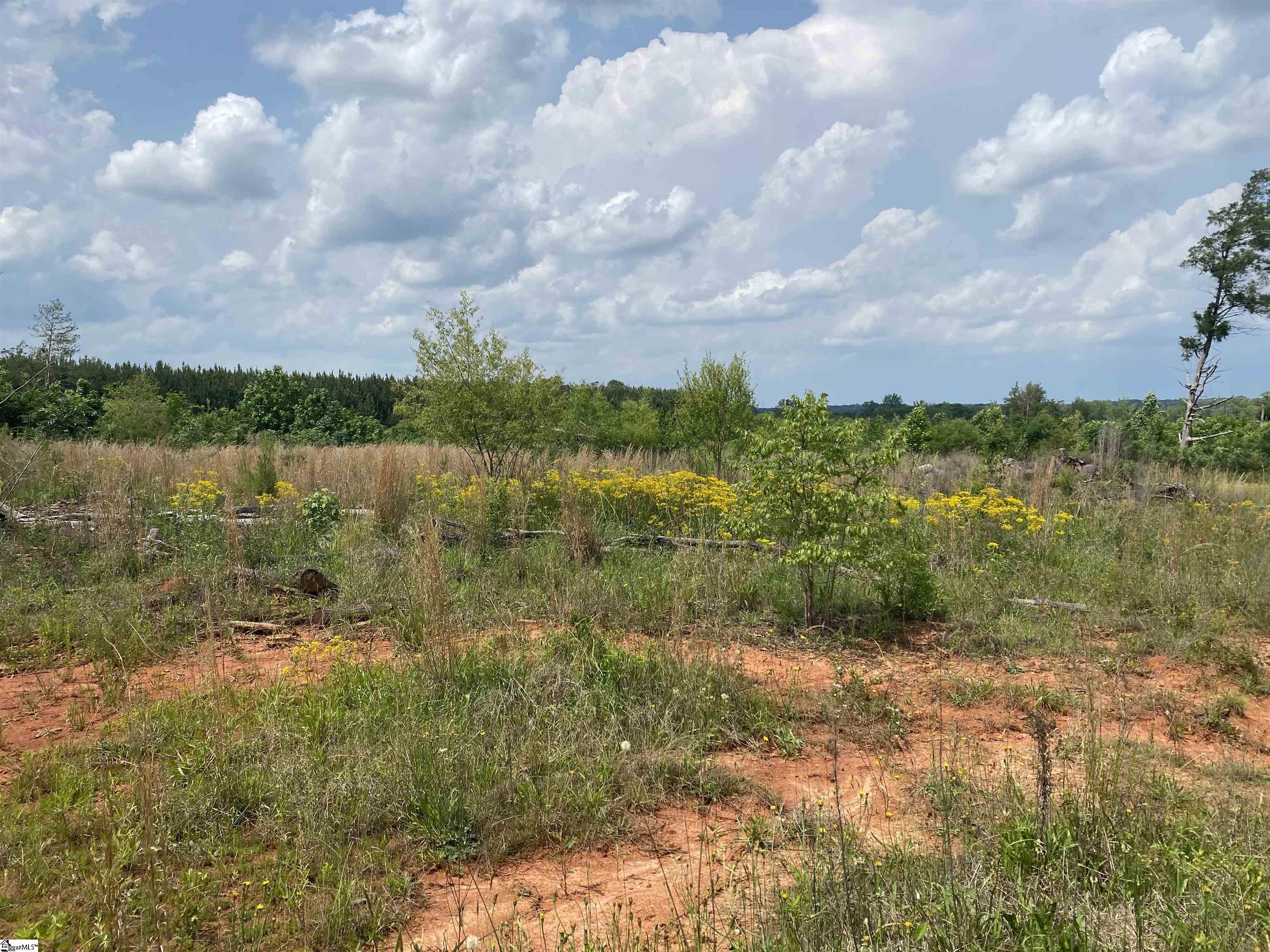 3393 Poplar Springs Road Ware Shoals, SC 29692 - Photo 11 of 11