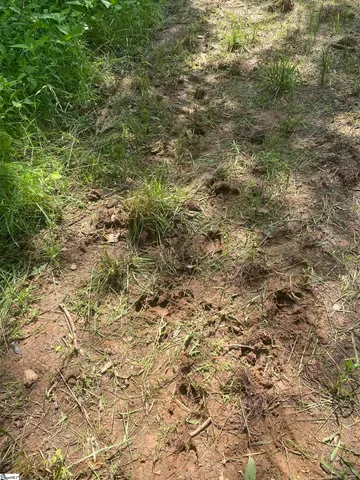 $2,888,700 | 3393 Poplar Springs Road, Ware Shoals, SC 29692