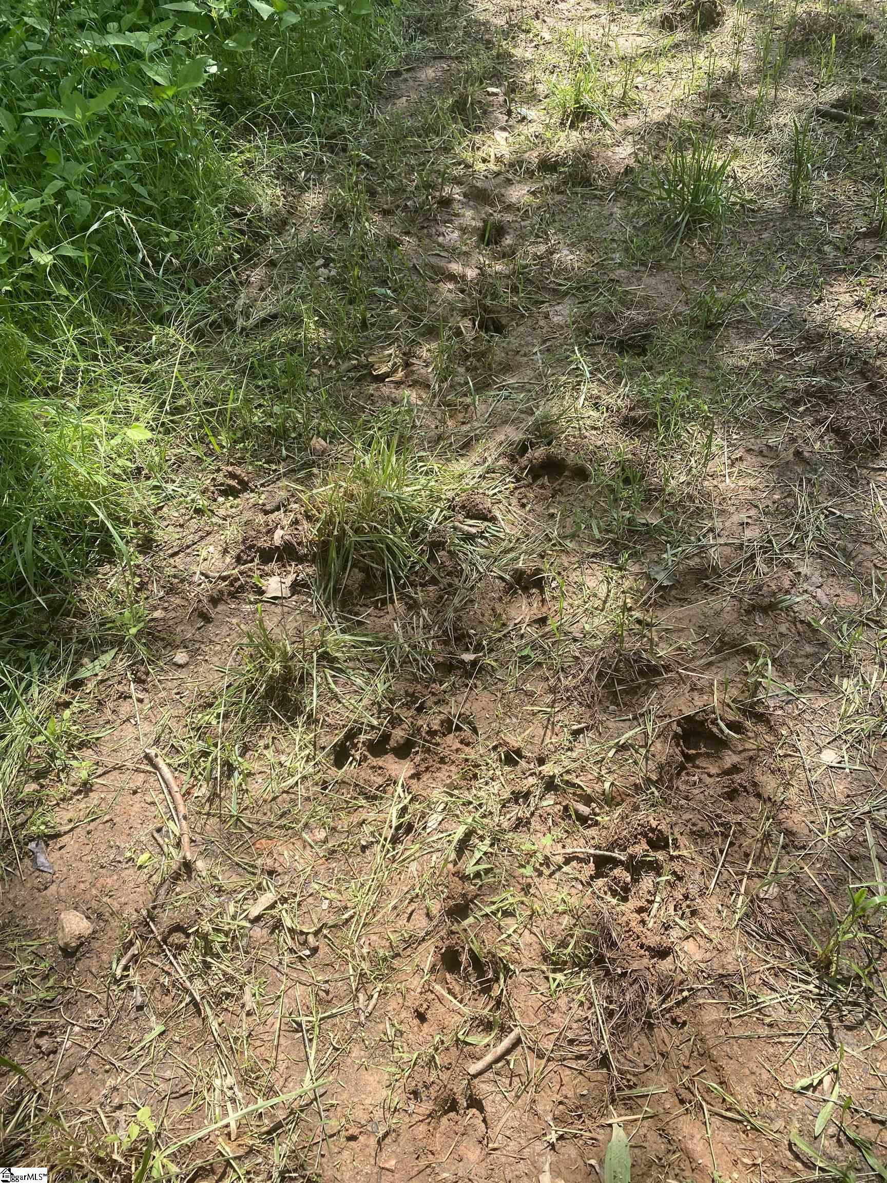 3393 Poplar Springs Road Ware Shoals, SC 29692 - Photo 3 of 11