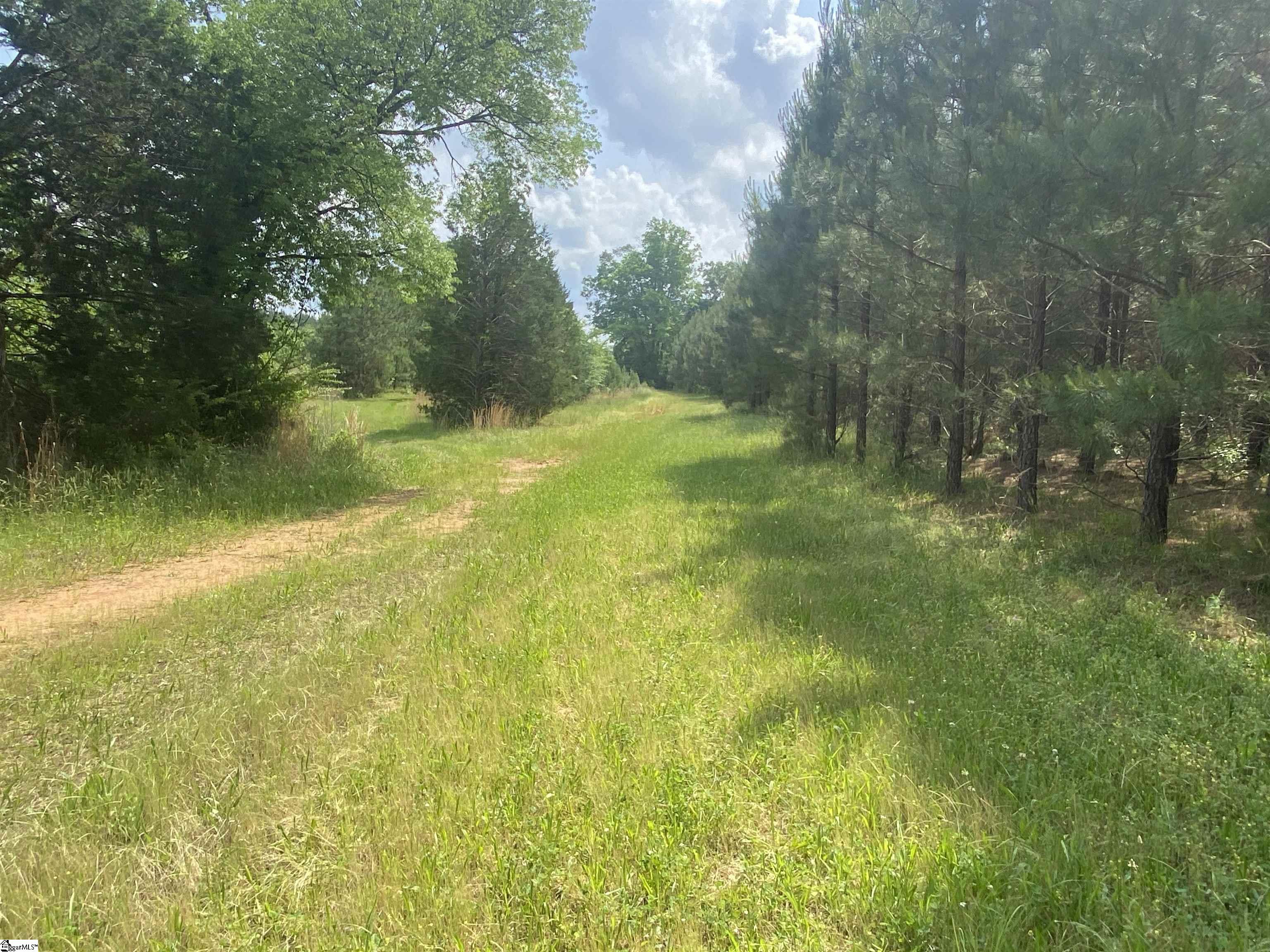 3393 Poplar Springs Road Ware Shoals, SC 29692 - Photo 4 of 11