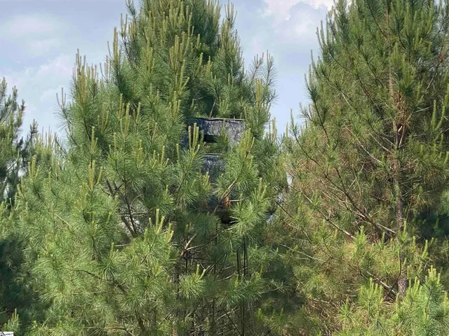 $2,888,700 | 3393 Poplar Springs Road, Ware Shoals, SC 29692