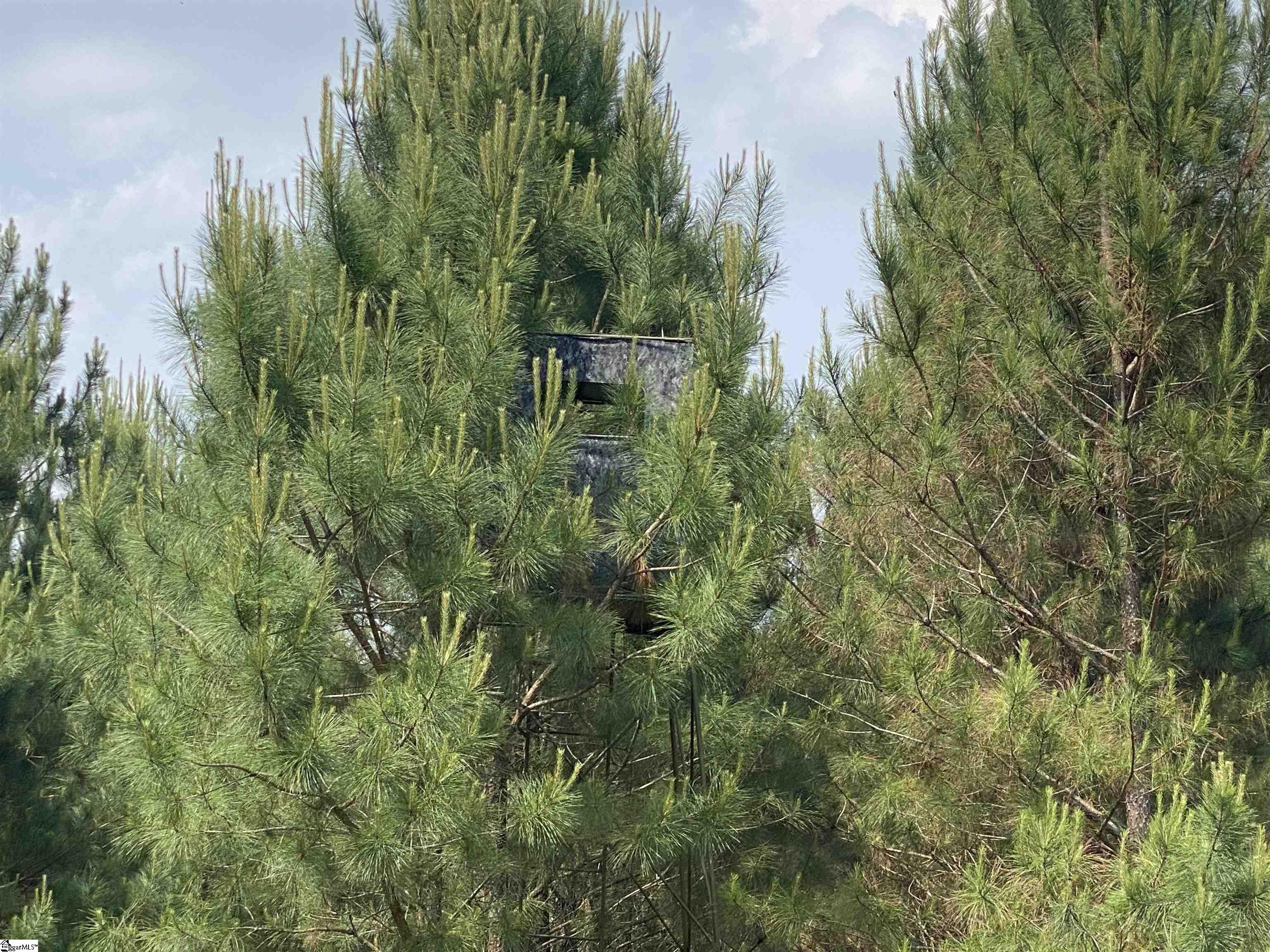 3393 Poplar Springs Road Ware Shoals, SC 29692 - Photo 7 of 11