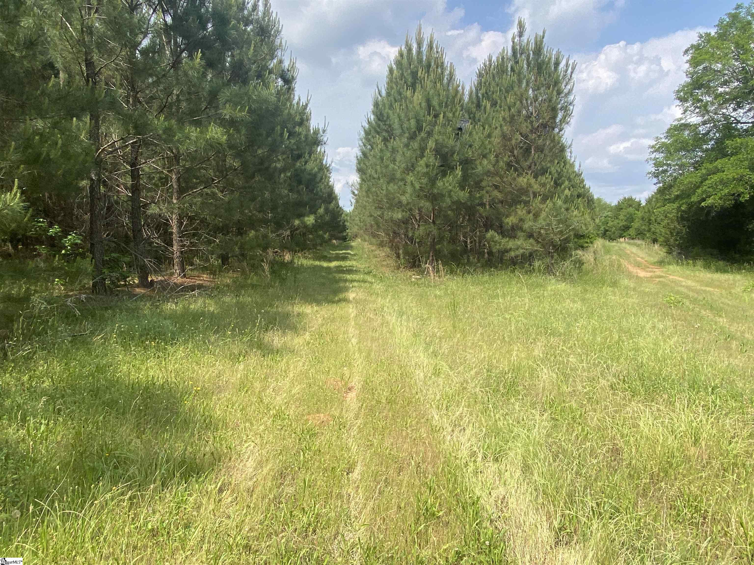 3393 Poplar Springs Road Ware Shoals, SC 29692 - Photo 9 of 11
