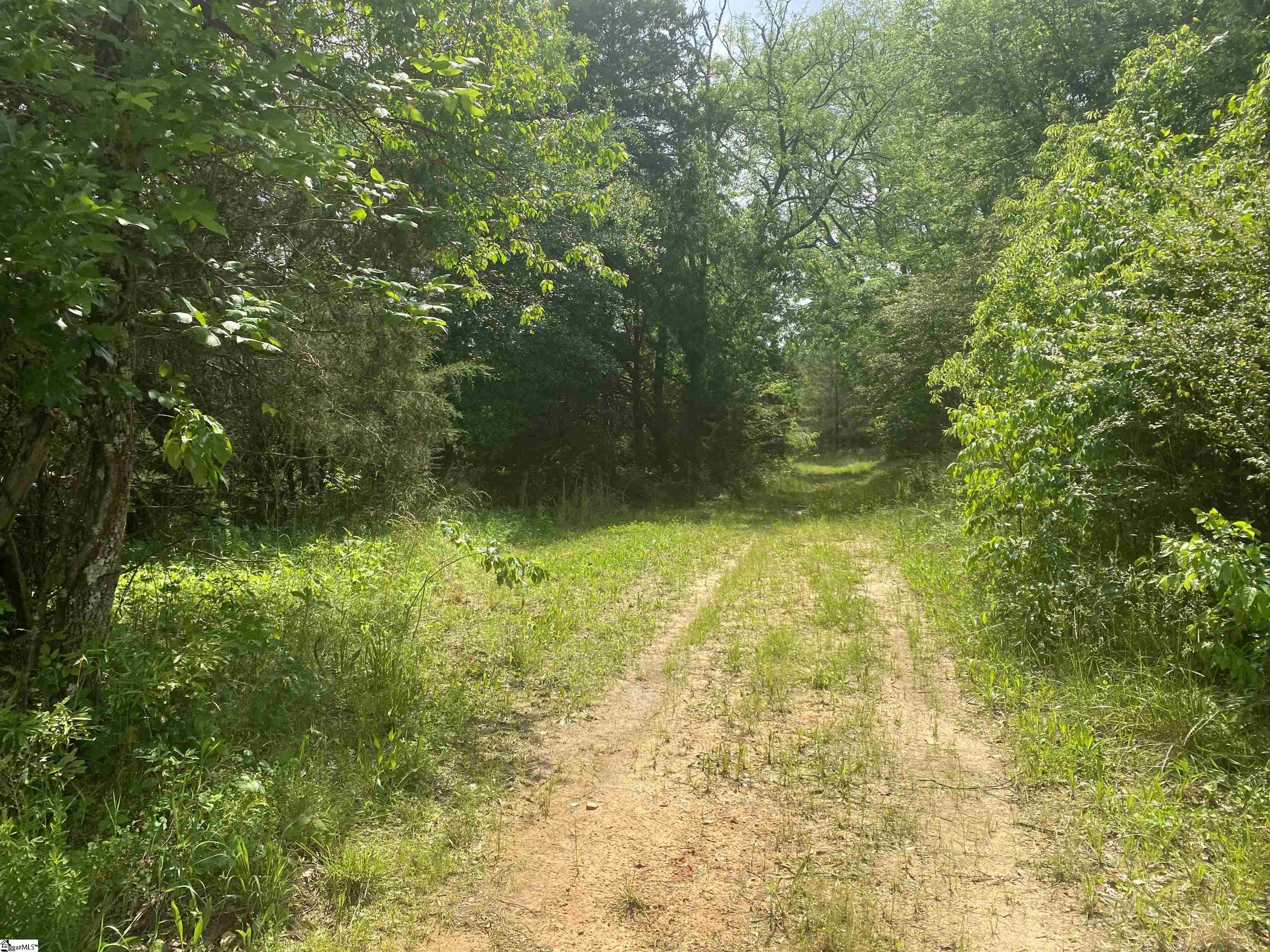 3393 Poplar Springs Road Ware Shoals, SC 29692 - Photo 10 of 11