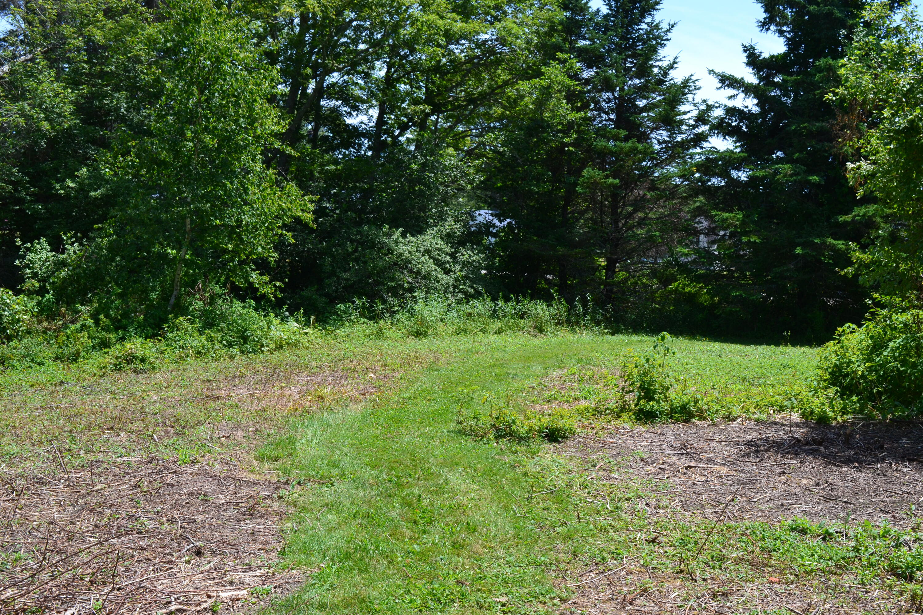 63 Bradley Shore Road Pemaquid, ME 04558 - Photo 11 of 22 DSC_0101