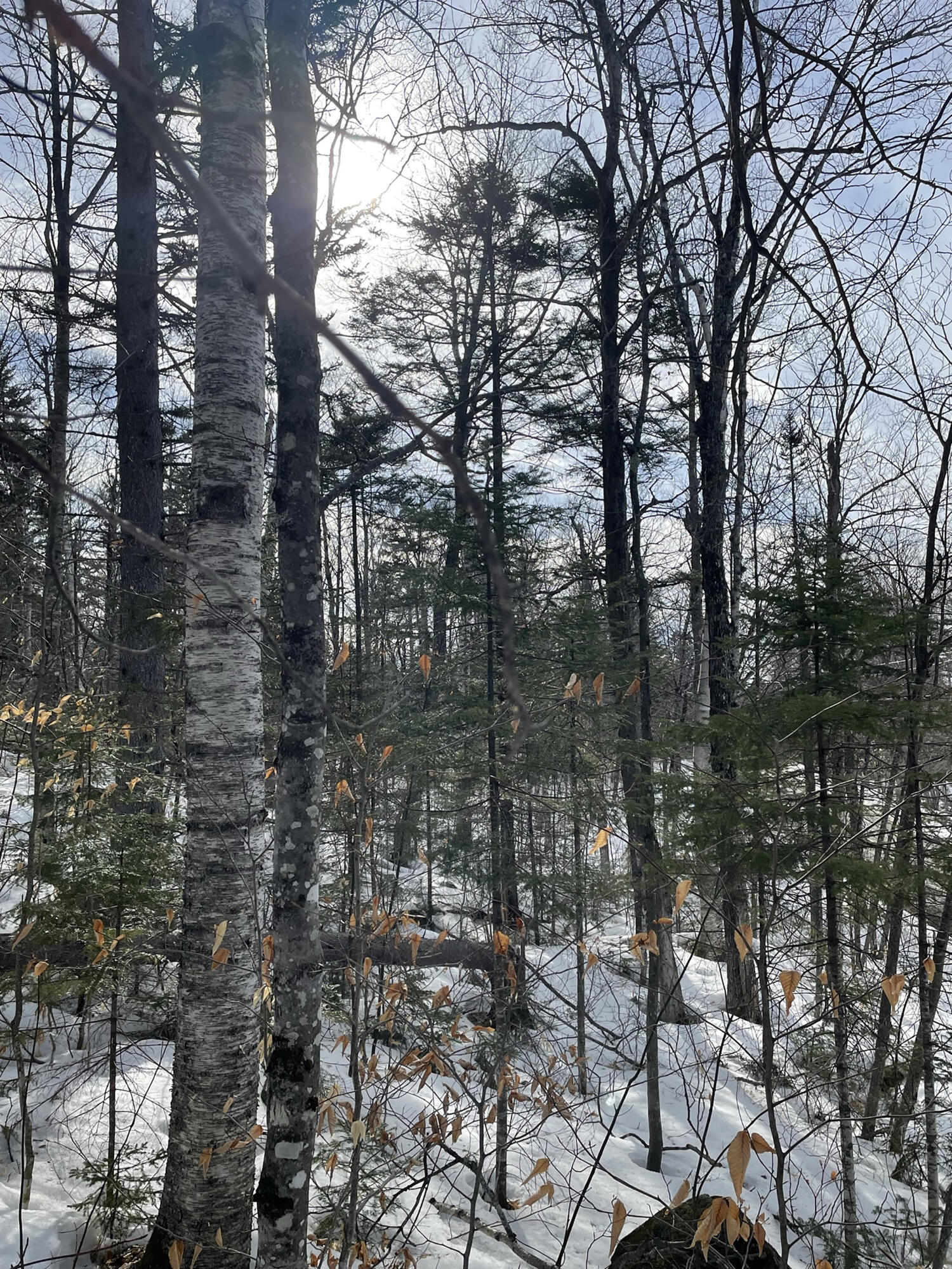 2030 Hillside Road Carrabassett Valley, ME 04947 - Photo 10 of 12 IMG_5582