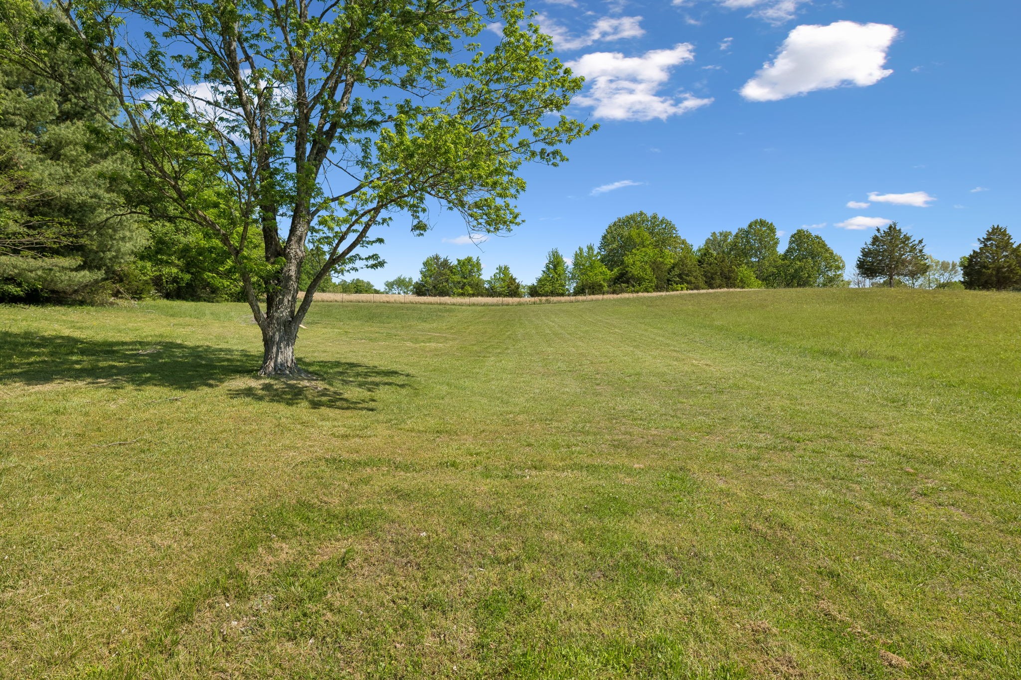 6644 Highway 76 East Springfield, TN 37172 - Photo 30 of 32 Gallery Image 30