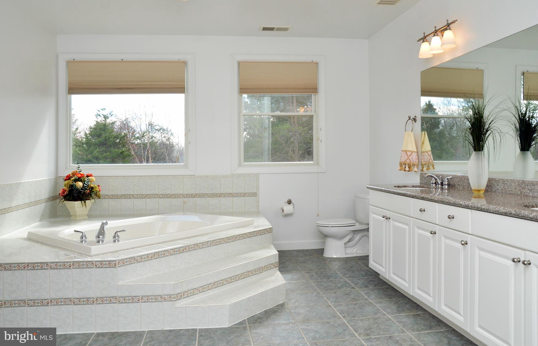 9208 Bells Mill Road Potomac, MD 20854 - Photo 19 of 30 Bath (Master)