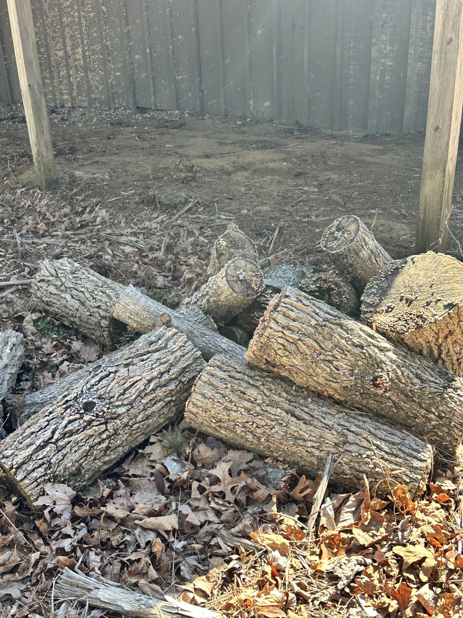 417 Lewis Road McMinnville, TN 37110 - Photo 48 of 55