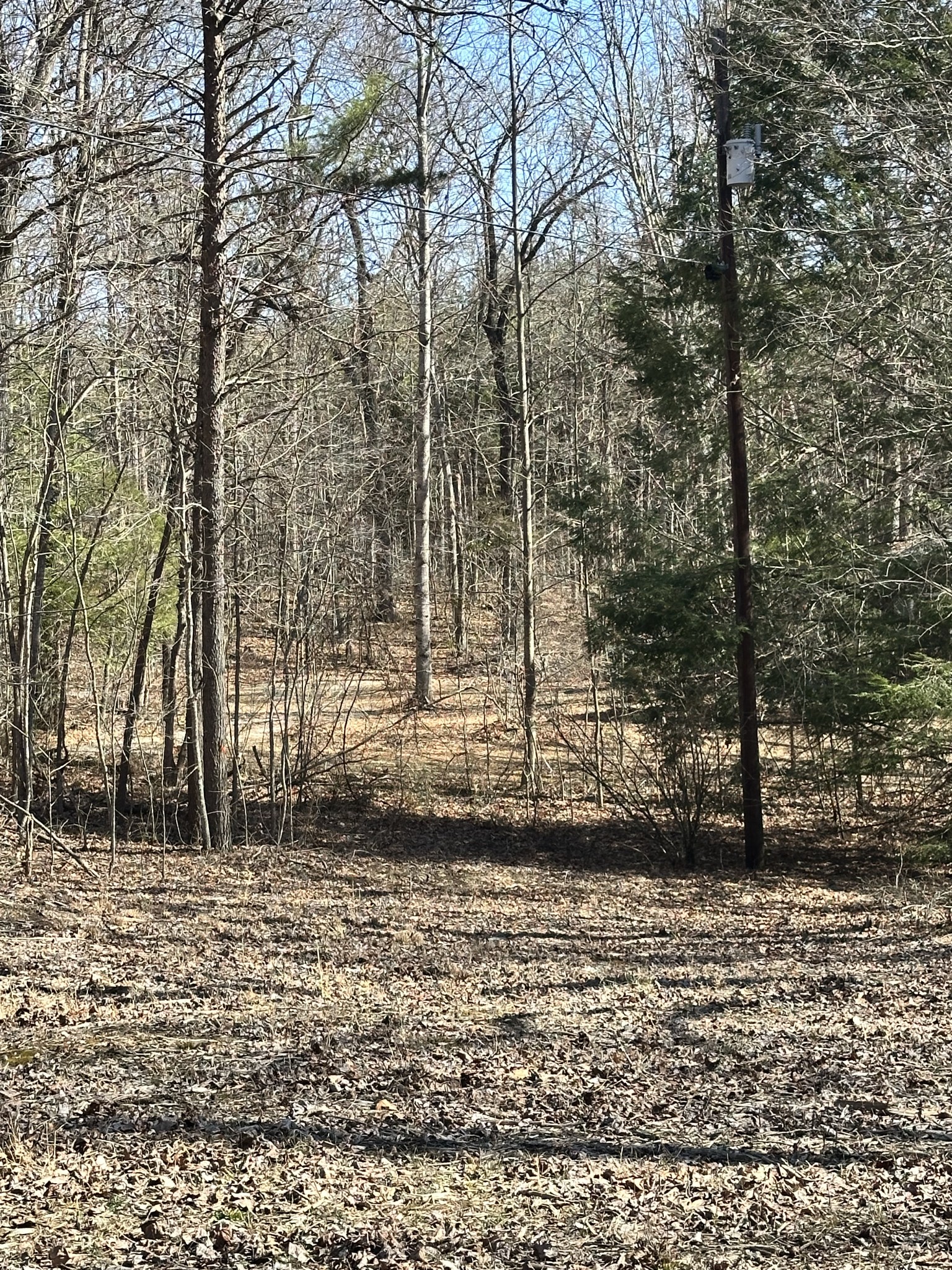 417 Lewis Road McMinnville, TN 37110 - Photo 50 of 55