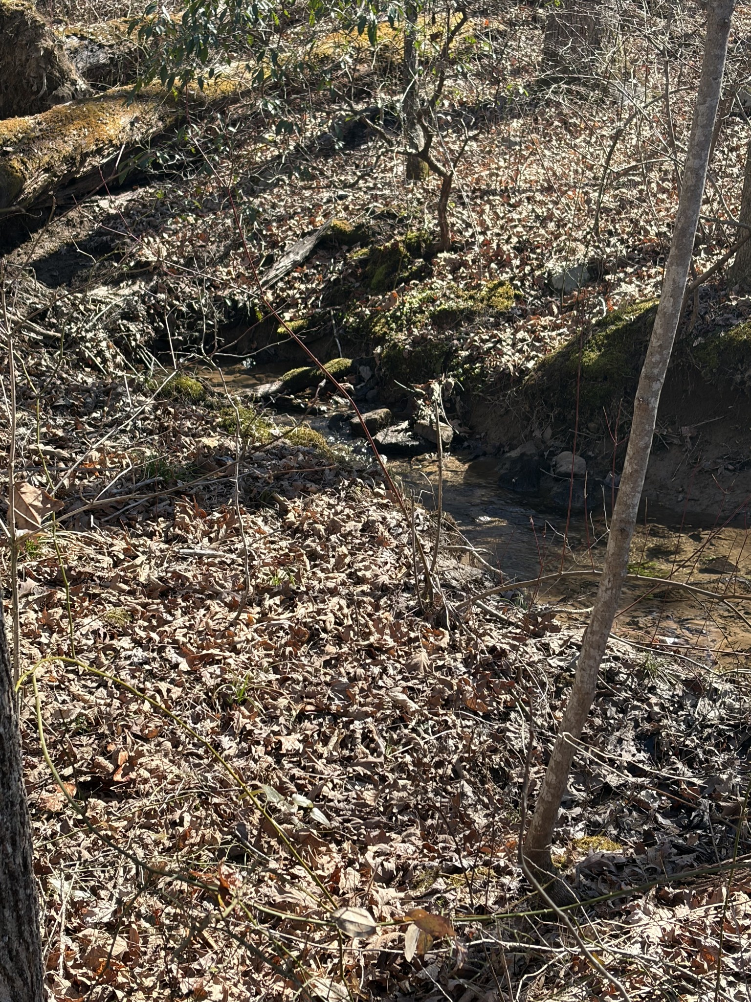 417 Lewis Road McMinnville, TN 37110 - Photo 52 of 55