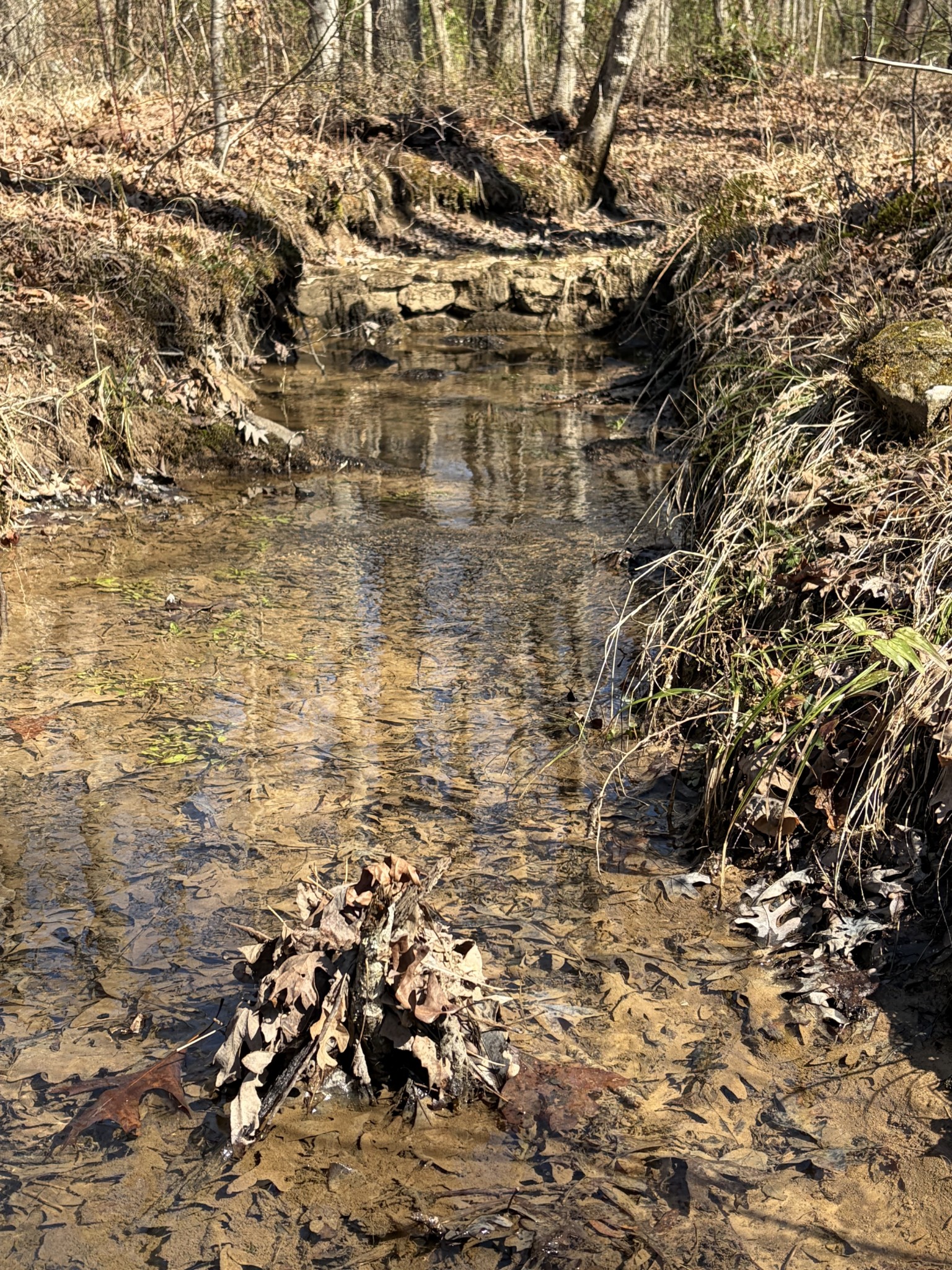 417 Lewis Road McMinnville, TN 37110 - Photo 53 of 55