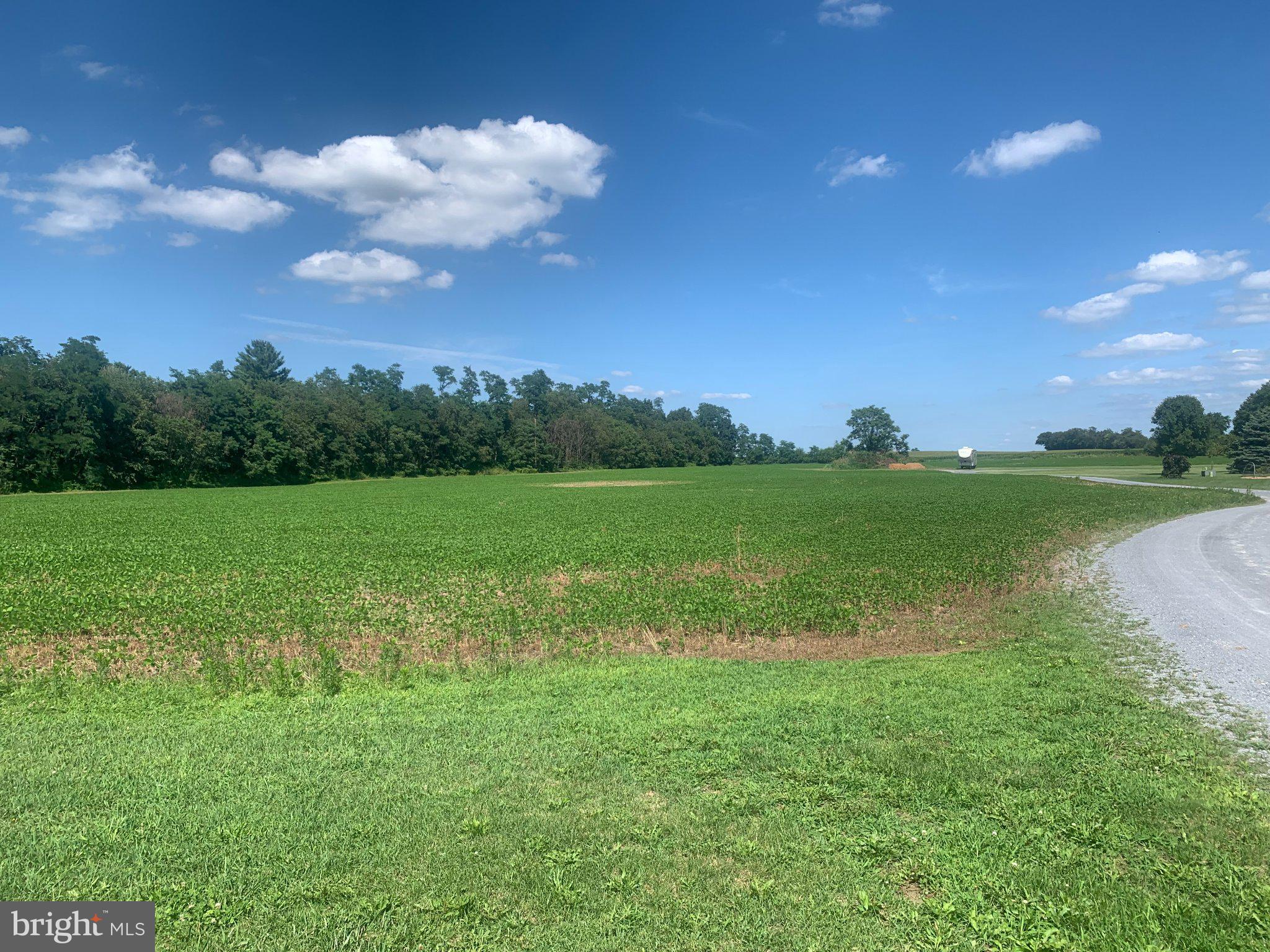 0 South Furnace Hollow Road Walnut Bottom, PA 17266 - Photo 3 of 5 Vibrant green fields under blue skies.