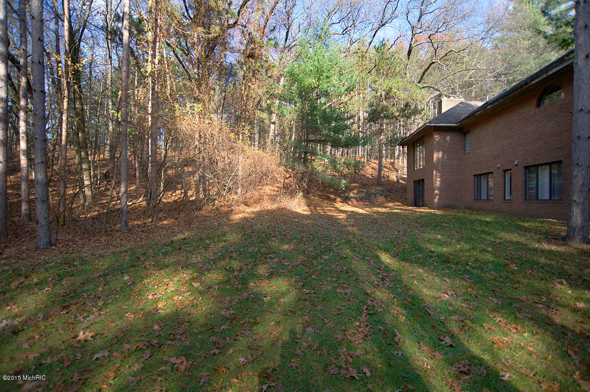 7673 Timber Bluff Road Southeast Ada, MI 49301 - Photo 30 of 30 DSC_7592